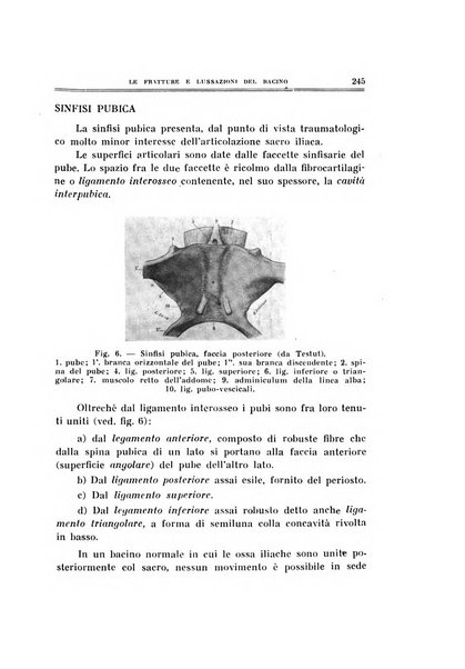 Archivio di ortopedia pubblicazione ufficiale del Pio istituto dei rachitici <1924-1950>