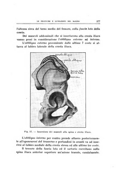 Archivio di ortopedia pubblicazione ufficiale del Pio istituto dei rachitici <1924-1950>