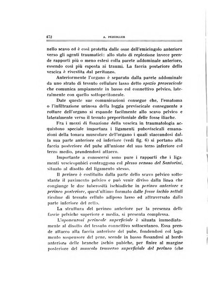 Archivio di ortopedia pubblicazione ufficiale del Pio istituto dei rachitici <1924-1950>