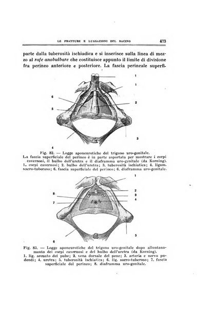 Archivio di ortopedia pubblicazione ufficiale del Pio istituto dei rachitici <1924-1950>