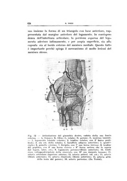 Archivio di ortopedia pubblicazione ufficiale del Pio istituto dei rachitici <1924-1950>