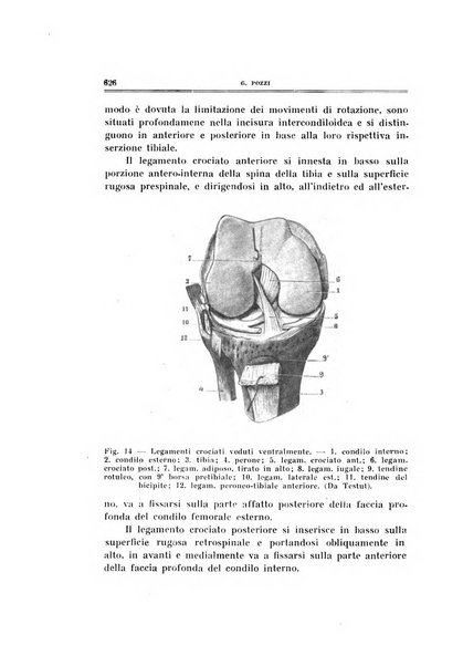 Archivio di ortopedia pubblicazione ufficiale del Pio istituto dei rachitici <1924-1950>