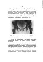 giornale/TO00176849/1933/unico/00000020