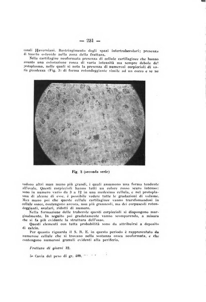 Archivio di ortopedia pubblicazione ufficiale del Pio istituto dei rachitici <1924-1950>