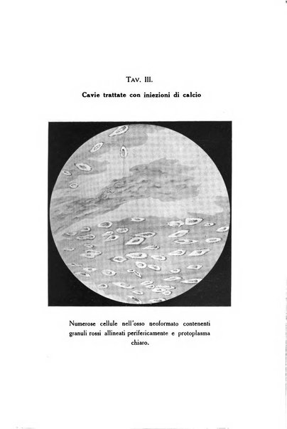 Archivio di ortopedia pubblicazione ufficiale del Pio istituto dei rachitici <1924-1950>