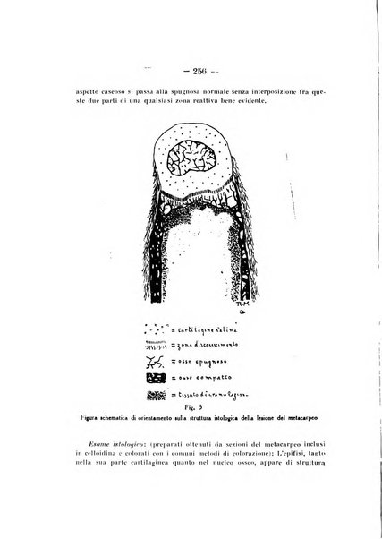 Archivio di ortopedia pubblicazione ufficiale del Pio istituto dei rachitici <1924-1950>