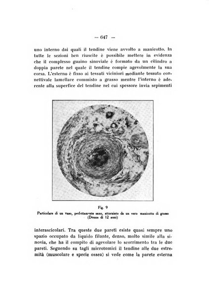 Archivio di ortopedia pubblicazione ufficiale del Pio istituto dei rachitici <1924-1950>