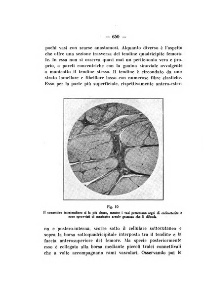 Archivio di ortopedia pubblicazione ufficiale del Pio istituto dei rachitici <1924-1950>