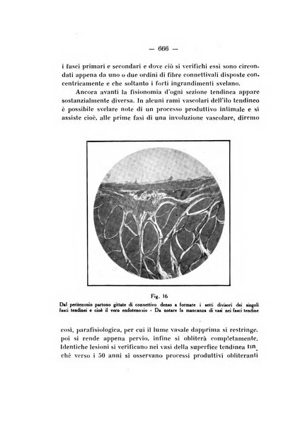 Archivio di ortopedia pubblicazione ufficiale del Pio istituto dei rachitici <1924-1950>