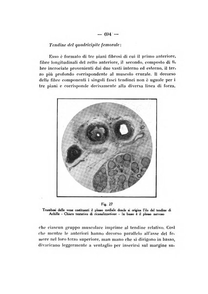 Archivio di ortopedia pubblicazione ufficiale del Pio istituto dei rachitici <1924-1950>