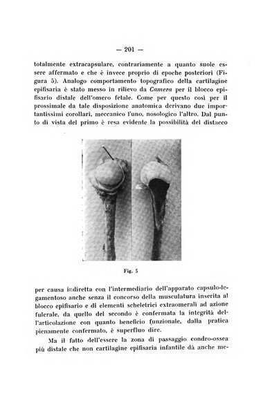 Archivio di ortopedia pubblicazione ufficiale del Pio istituto dei rachitici <1924-1950>