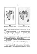 giornale/TO00176849/1934/unico/00000385