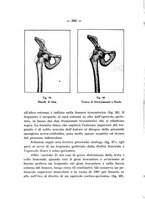 giornale/TO00176849/1934/unico/00000402