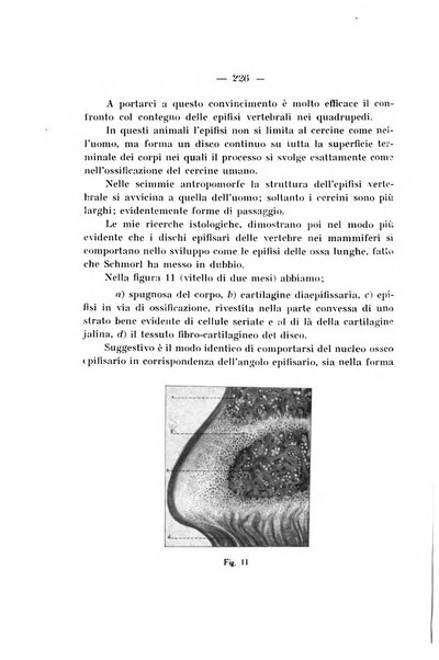 Archivio di ortopedia pubblicazione ufficiale del Pio istituto dei rachitici <1924-1950>