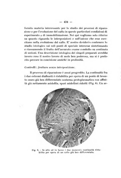 Archivio di ortopedia pubblicazione ufficiale del Pio istituto dei rachitici <1924-1950>