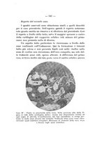 giornale/TO00176849/1935/unico/00000557