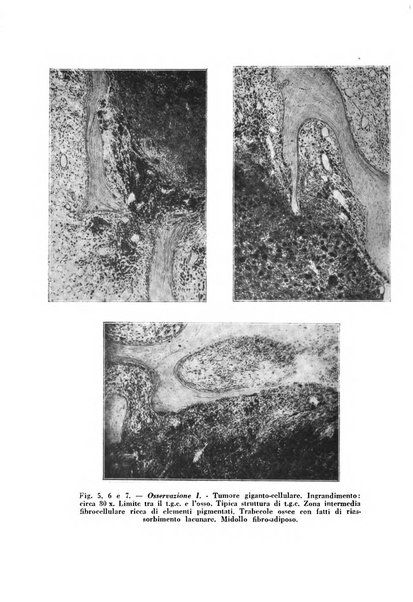 Archivio di ortopedia pubblicazione ufficiale del Pio istituto dei rachitici <1924-1950>