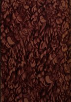 giornale/TO00176849/1937/unico/00000001