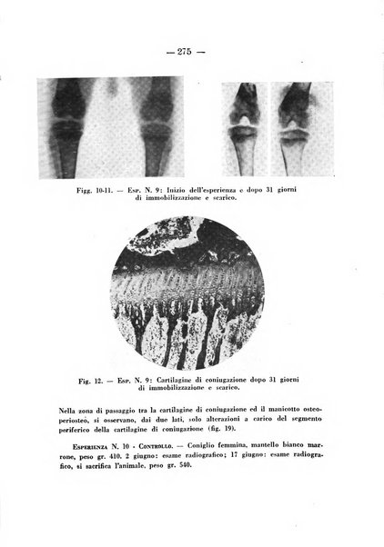 Archivio di ortopedia pubblicazione ufficiale del Pio istituto dei rachitici <1924-1950>