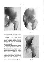 giornale/TO00176849/1939/unico/00000014