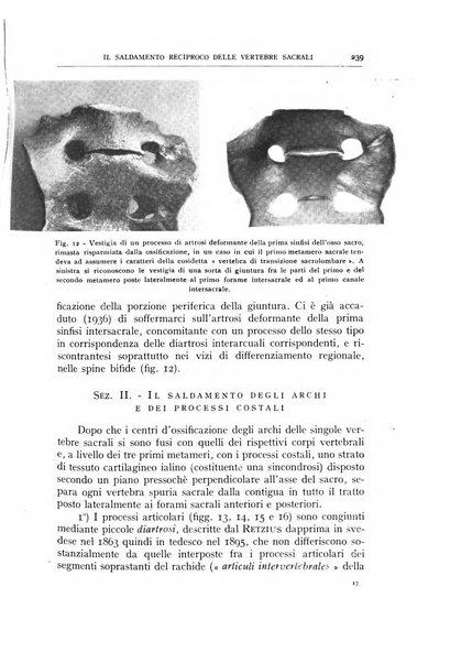 Archivio di ortopedia pubblicazione ufficiale del Pio istituto dei rachitici <1924-1950>