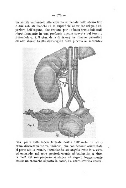 Archivio di ostetricia e ginecologia