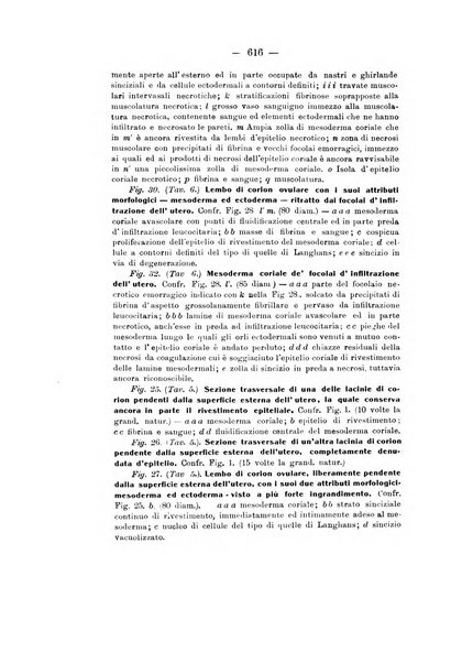 Archivio di ostetricia e ginecologia