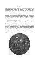giornale/TO00176850/1914-1915/unico/00000595