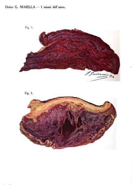 Archivio di ostetricia e ginecologia