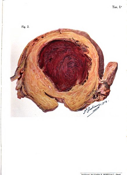 Archivio di ostetricia e ginecologia