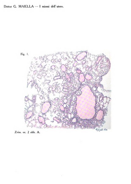 Archivio di ostetricia e ginecologia