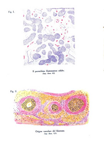 Archivio di ostetricia e ginecologia