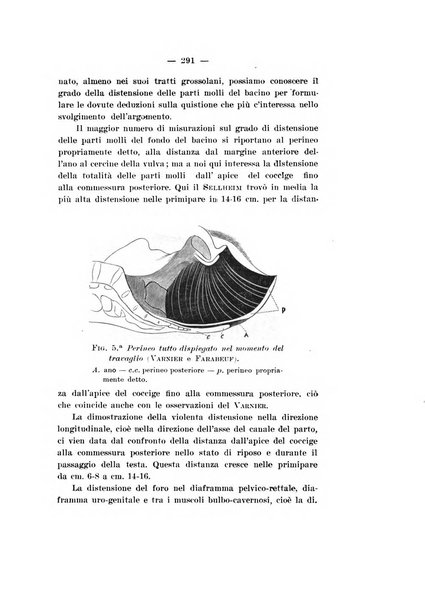 Archivio di ostetricia e ginecologia