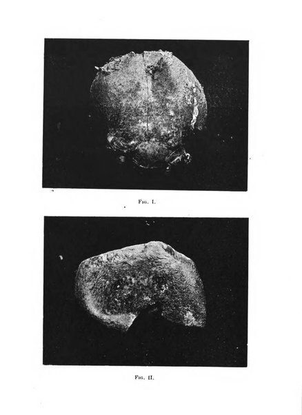 Archivio di ostetricia e ginecologia