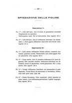 giornale/TO00176850/1924/unico/00000208