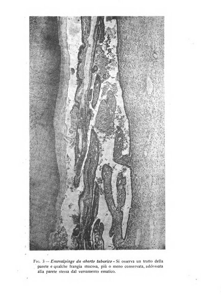 Archivio di ostetricia e ginecologia