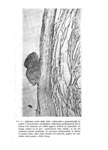 Archivio di ostetricia e ginecologia