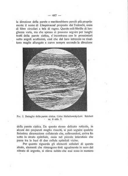 Archivio di ostetricia e ginecologia