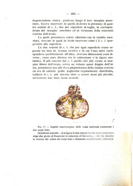 Archivio di ostetricia e ginecologia