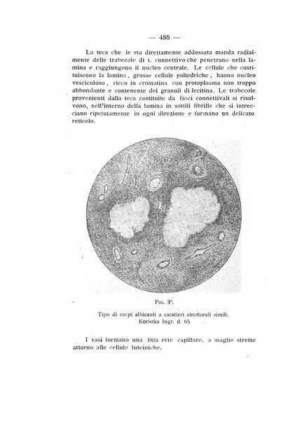 Archivio di ostetricia e ginecologia