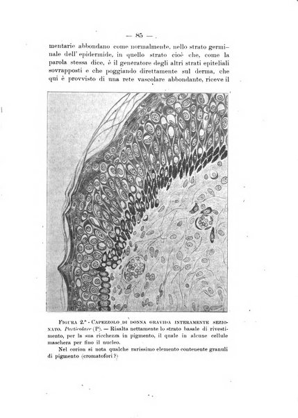 Archivio di ostetricia e ginecologia