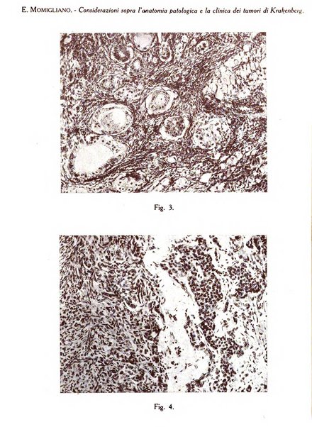 Archivio di ostetricia e ginecologia