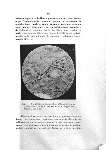 Archivio di ostetricia e ginecologia