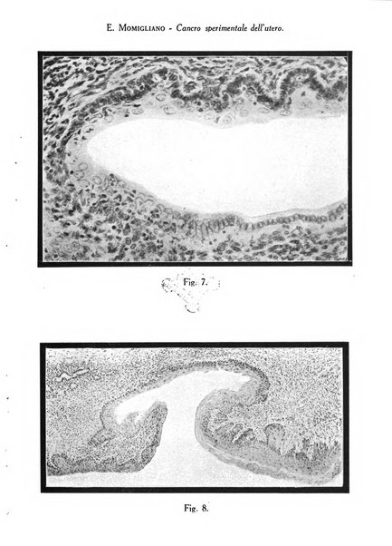 Archivio di ostetricia e ginecologia