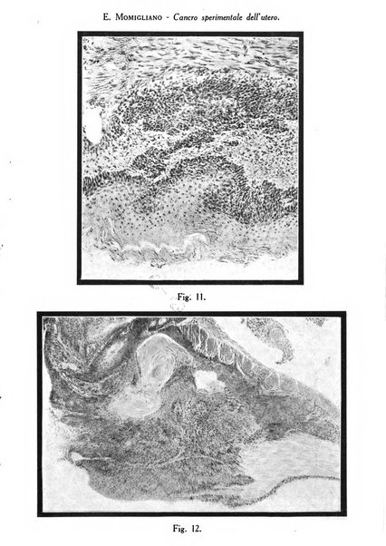 Archivio di ostetricia e ginecologia