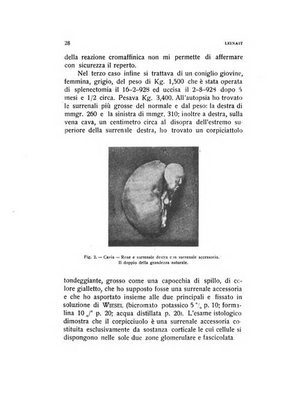 Archivio di ostetricia e ginecologia