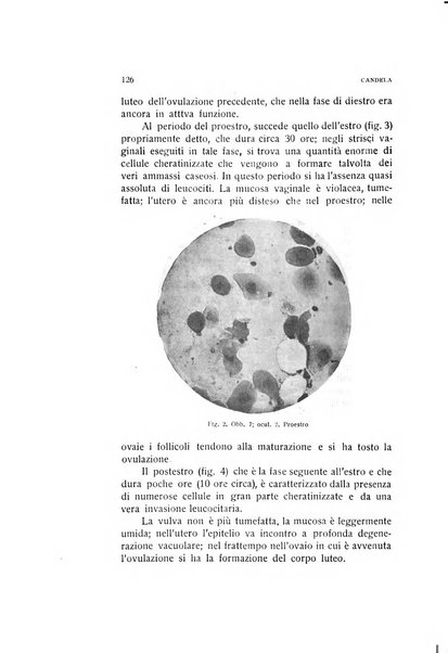 Archivio di ostetricia e ginecologia