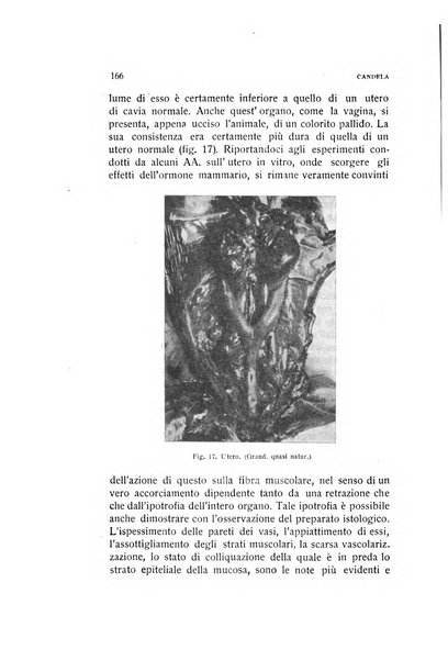 Archivio di ostetricia e ginecologia