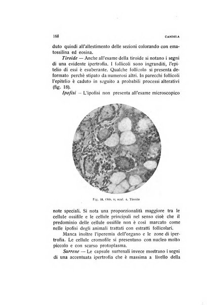 Archivio di ostetricia e ginecologia