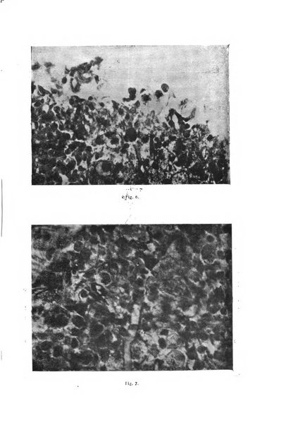 Archivio di ostetricia e ginecologia